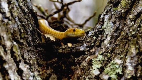 Image de l'épisode 1