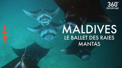 Image de l'épisode 6