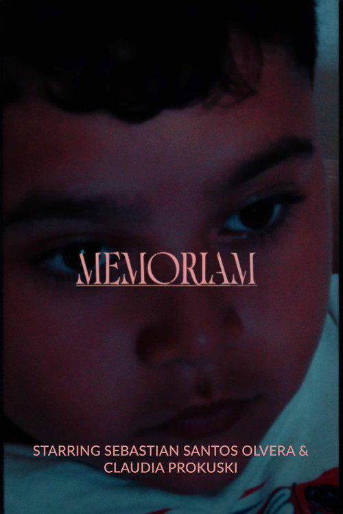Pôster oficial de Memoriam (2024) - Drama