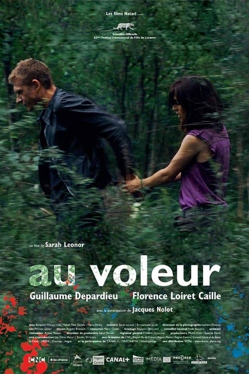 Au voleur (2009) poster