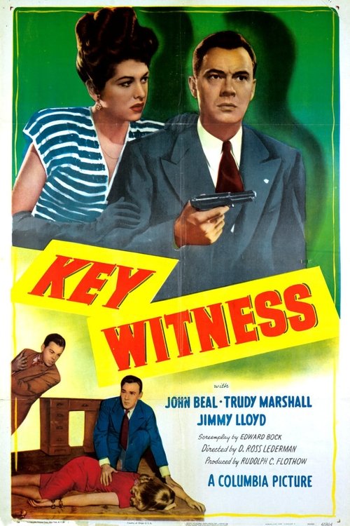 Key Witness movie poster player