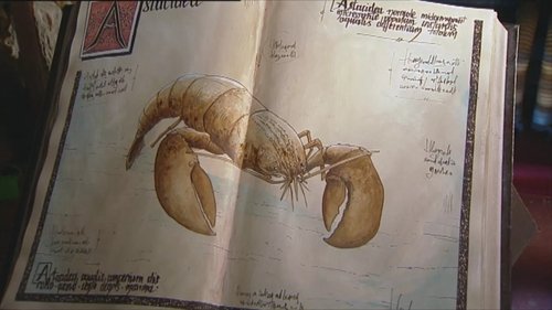 Image de l'épisode 14