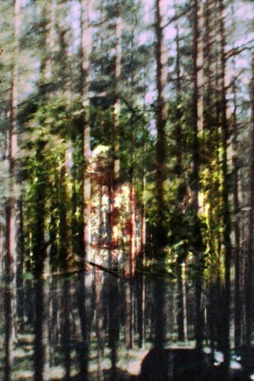 VIA KARELIA movie poster player