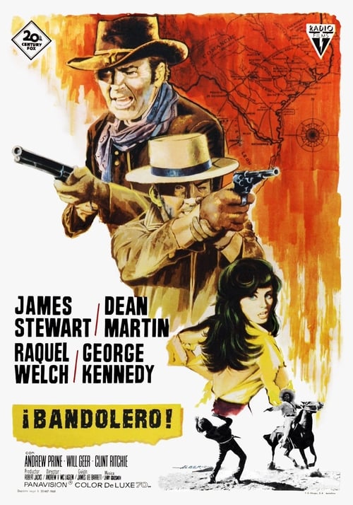 Bandolero! poster