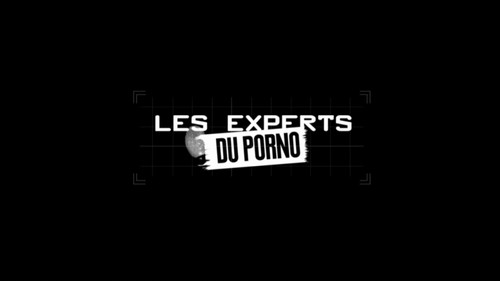 Image Les Experts du porno