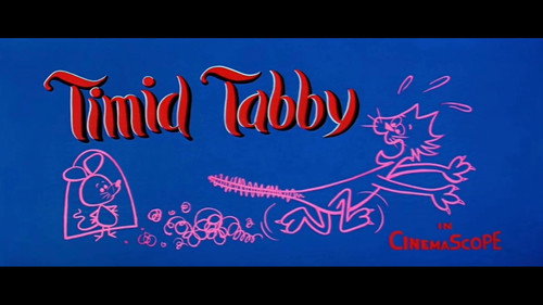 Timid Tabby