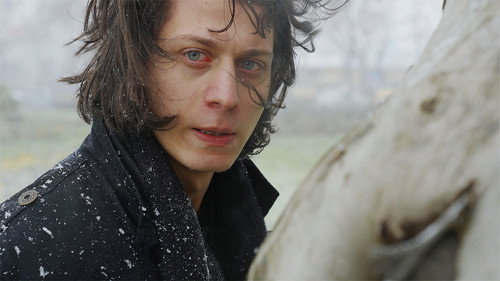 The Leaf Covered in Hoarfrost