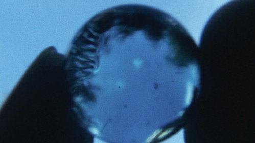 Image du film