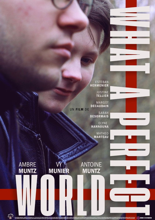 Poster What a Perfect World