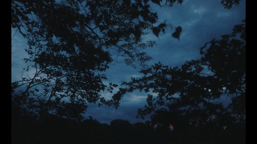 Everything In This World Is Exactly What It Is