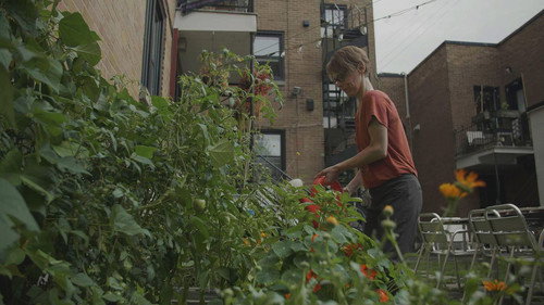 Prêts pour la décroissance?