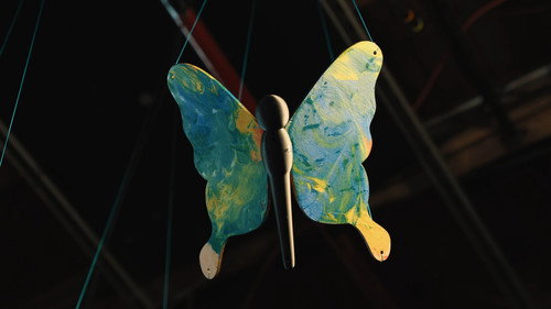 Benny Feldman - Butterfly Pavilion - imagem 5