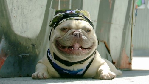 Image de l'épisode 7