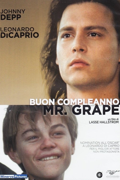 Buon compleanno Mr. Grape 1993 Buon compleanno Mr. Grape 1993