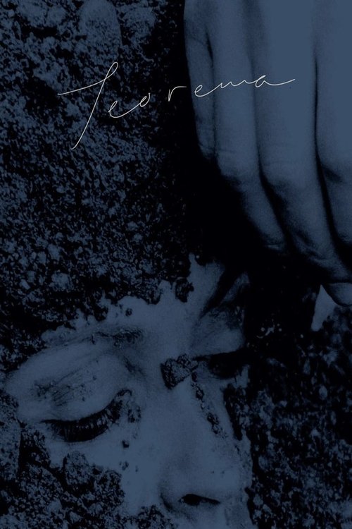 Poster 6
