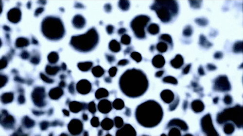 Purgatory for Epiphanea