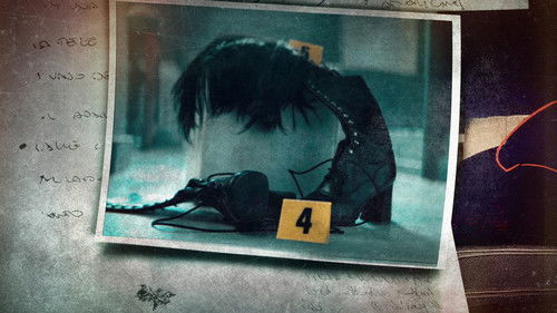 冷血安琪：假面人生与真实凶案