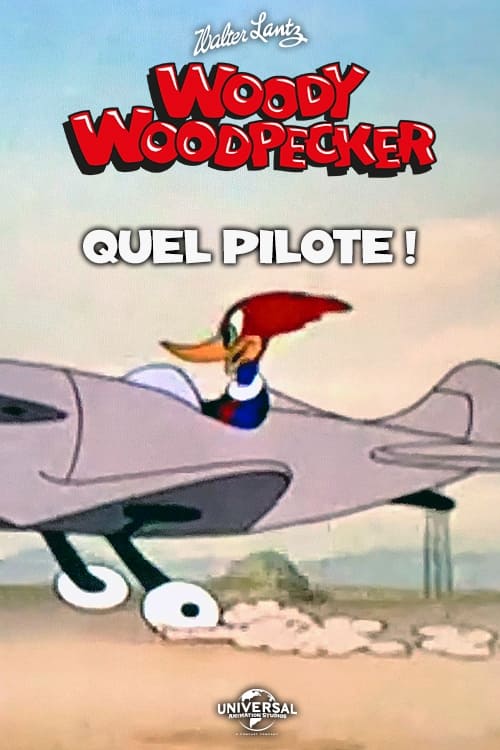 Quel Pilote ! (1942)