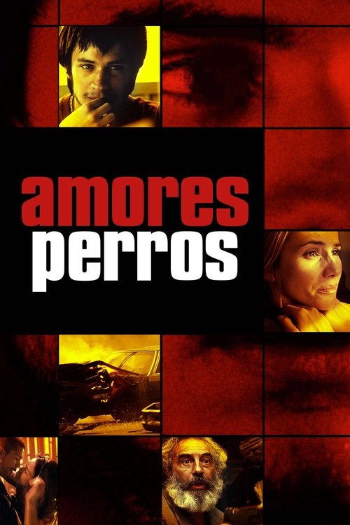 Movie Image
