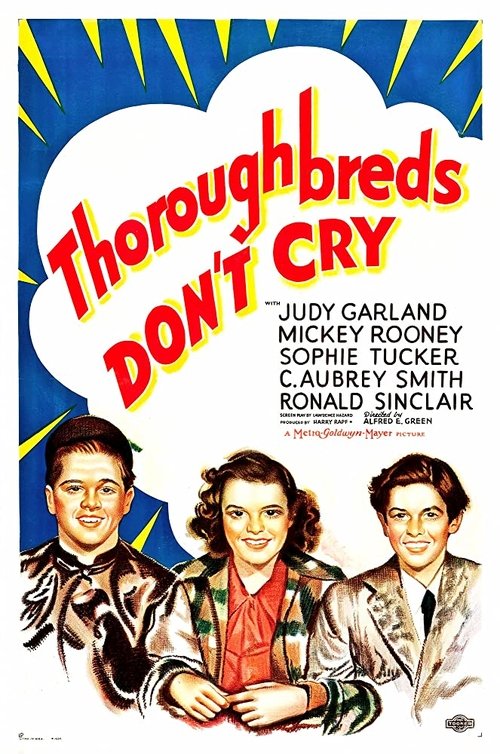 Poster 4