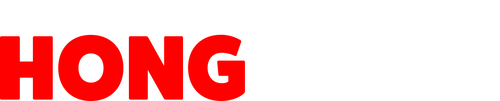 The Modelizer