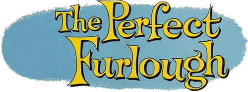 The Perfect Furlough