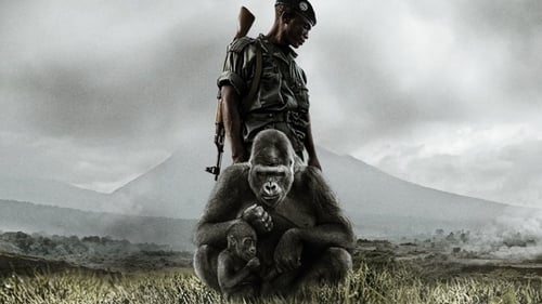 VIRUNGA