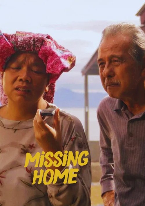 Missing Home poster