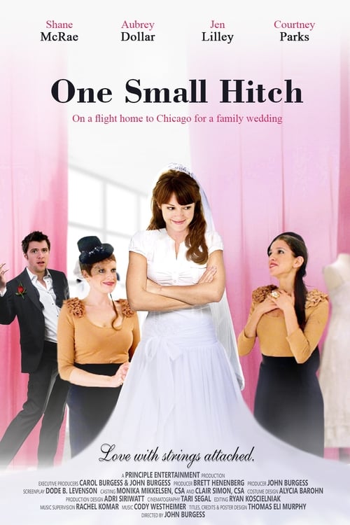 Poster One Small Hitch 2013