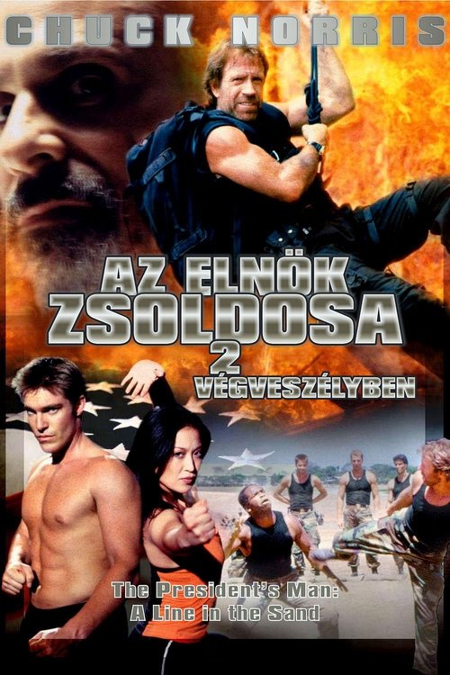 Az elnök zsoldosa 2: Végveszélyben movie poster player