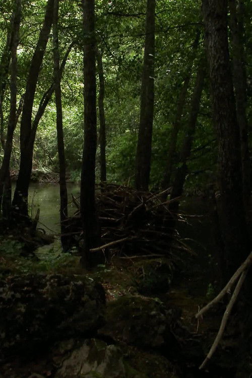 Mil veces, sin importarle el tiempo...