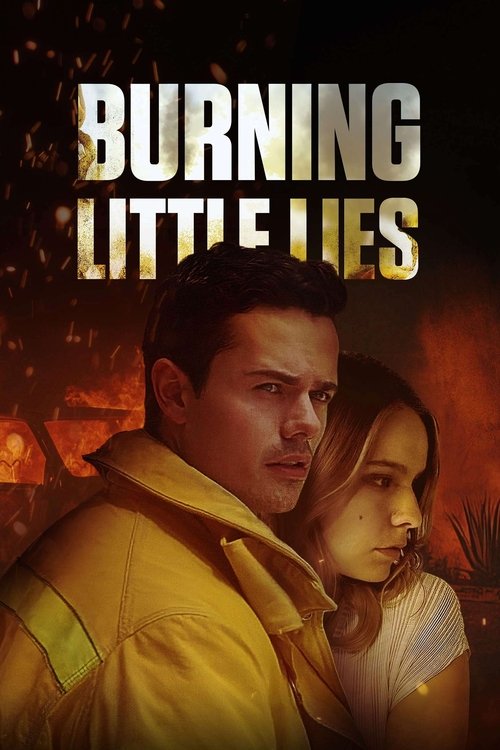 Poster 3