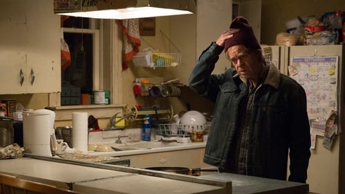 Shameless (US): 6×4