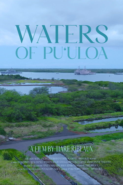 Waters of Puʻuloa