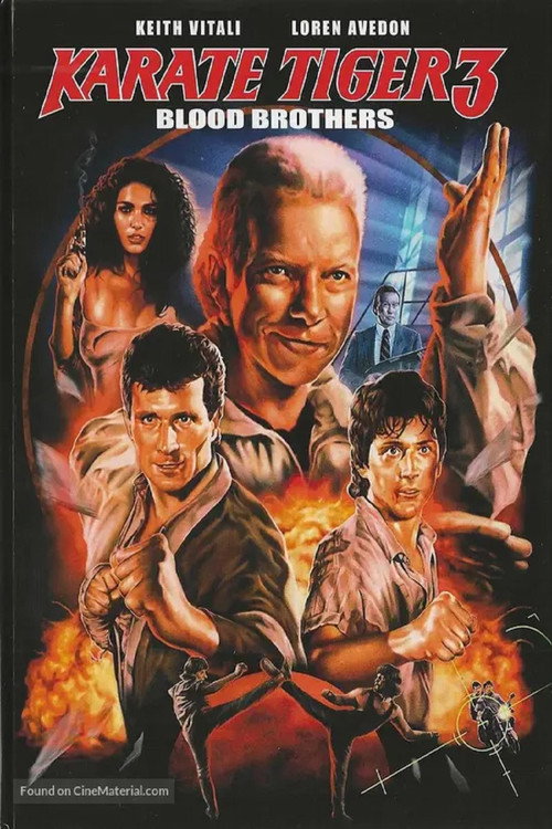 No Retreat, No Surrender 3: Blood Brothers (1990) Dual Movie {Hindi-English} BluRay 480p [370MB] | 720p [1GB] | 1080p [1.9GB]