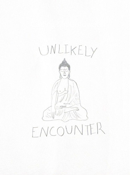 Unlikely Encounter