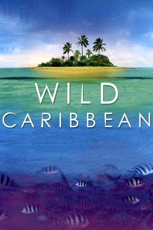 Where to stream Wild Caribbean