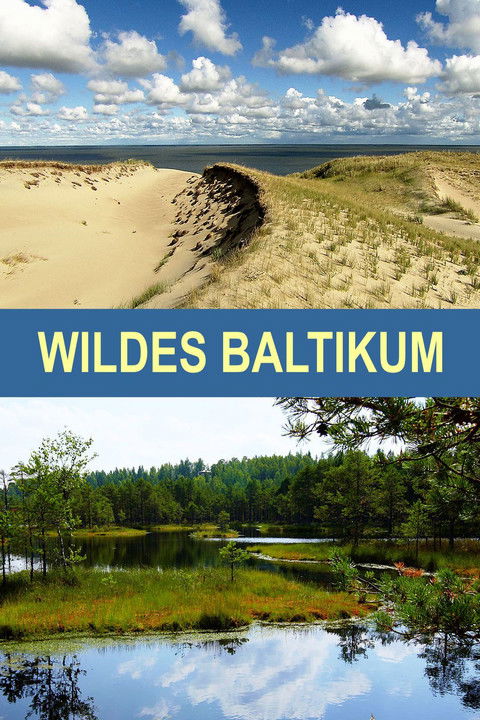 Escena 5 de Wildes Baltikum