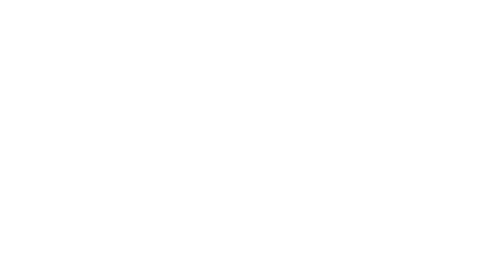 The Paper Tigers