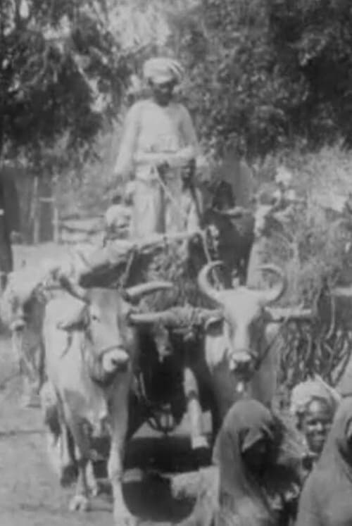 Salvation Army Parade in Indian Village No.2 (1904)