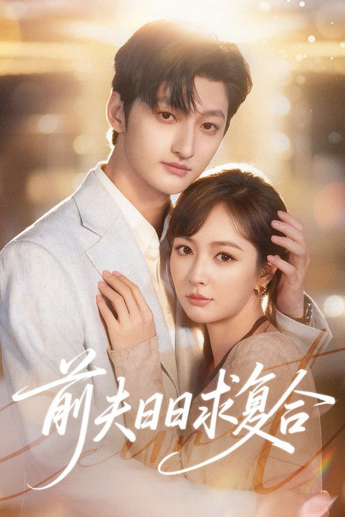 前夫日日求复合 Poster