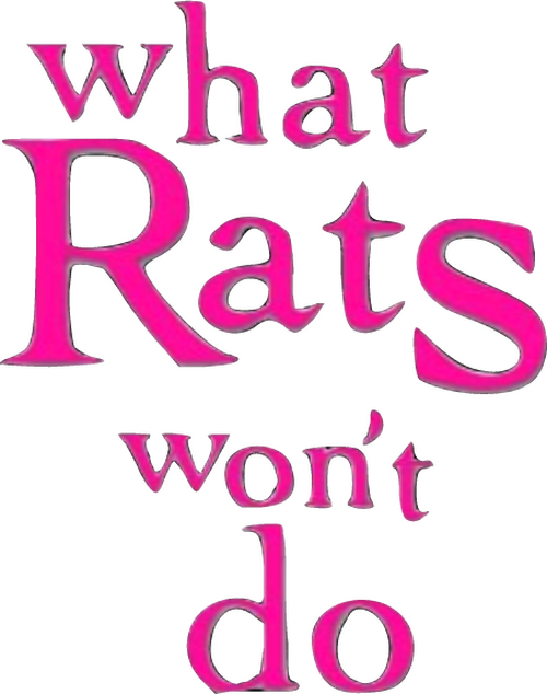What Rats Won't Do