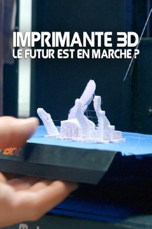 Imprimante 3D, le futur est en marche ? 2017
