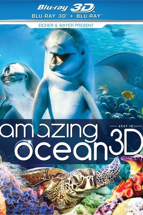 Amazing Ocean 3D 2013