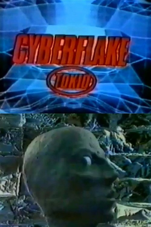 Cyberflake (1995) poster