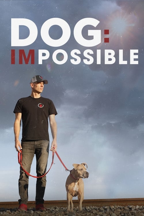 Where to stream Dog: Impossible Season 2