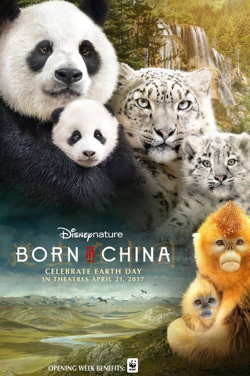 Born in China poster
