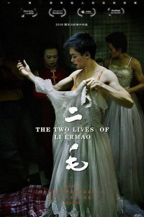 The Two Lives of Li Ermao