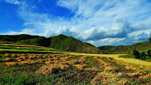 希望的田野 Backdrop Blur