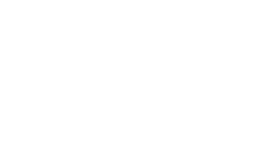 The Man Who Fell to Earth